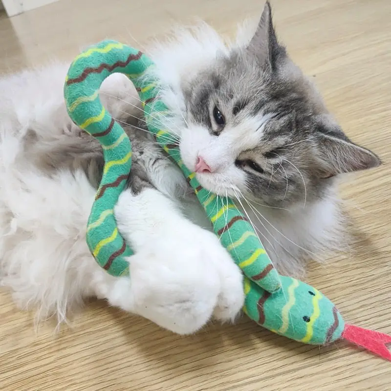 Jouet Serpent Chat et Chien - Cataire Naturelle Intégrée