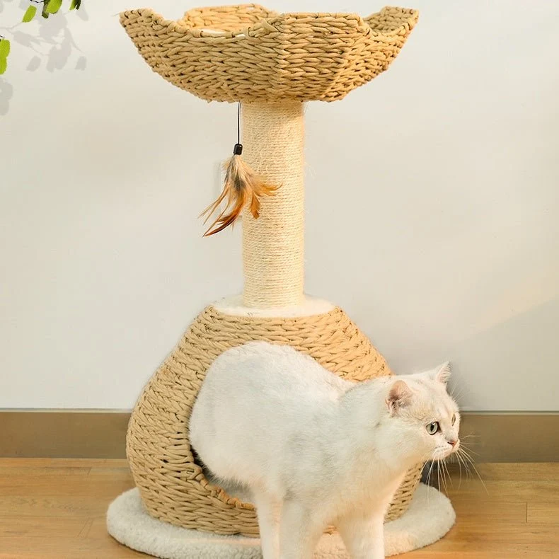 Boho Cat Candos And Tower With Cozy Bed
