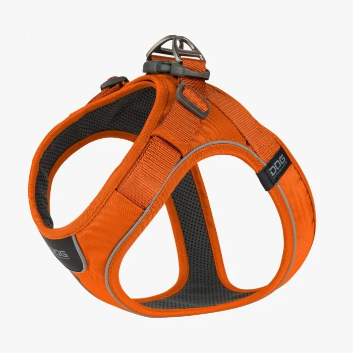 Harnais Confort Walk Go Orange chien
