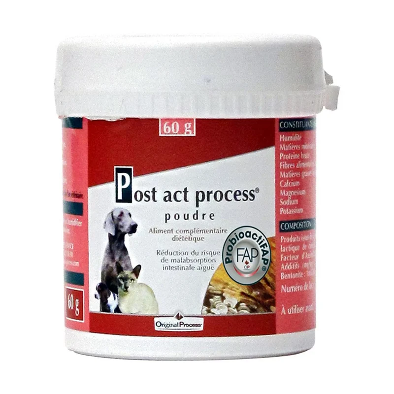 Post Act Process chat chien