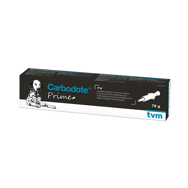 Carbodote Prime chat, chien