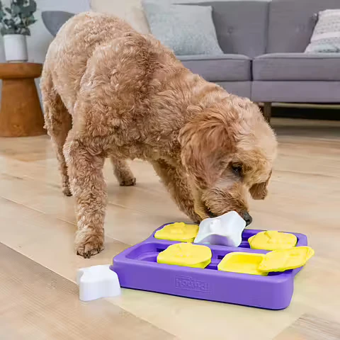 Jeu d’intelligence pour chien niveau 2 Dog Brick petit format
