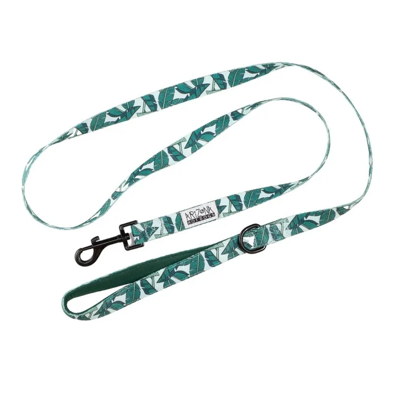 Laisse chien Amazonia turquoise – style tropical élégant