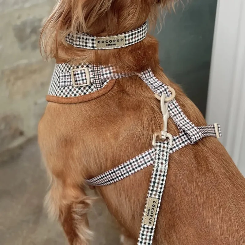 Collier pour chien élégant Heritage Check
