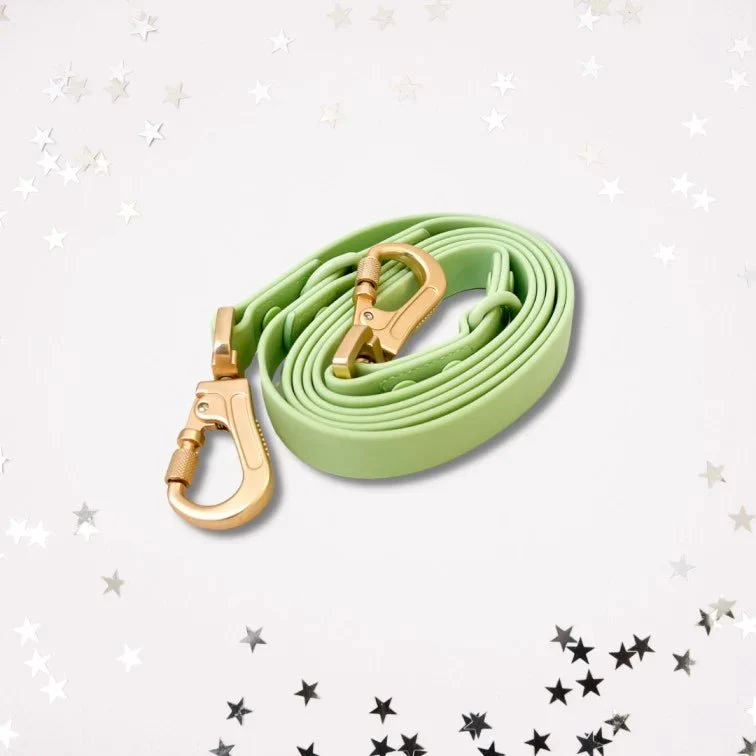 Laisse pour chien multipositionnable imperméable vert pastel – Gemini