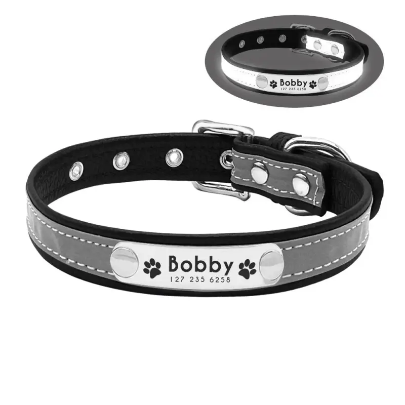 Collier Chien Cuir Lumineux Led Sécurité Nuit