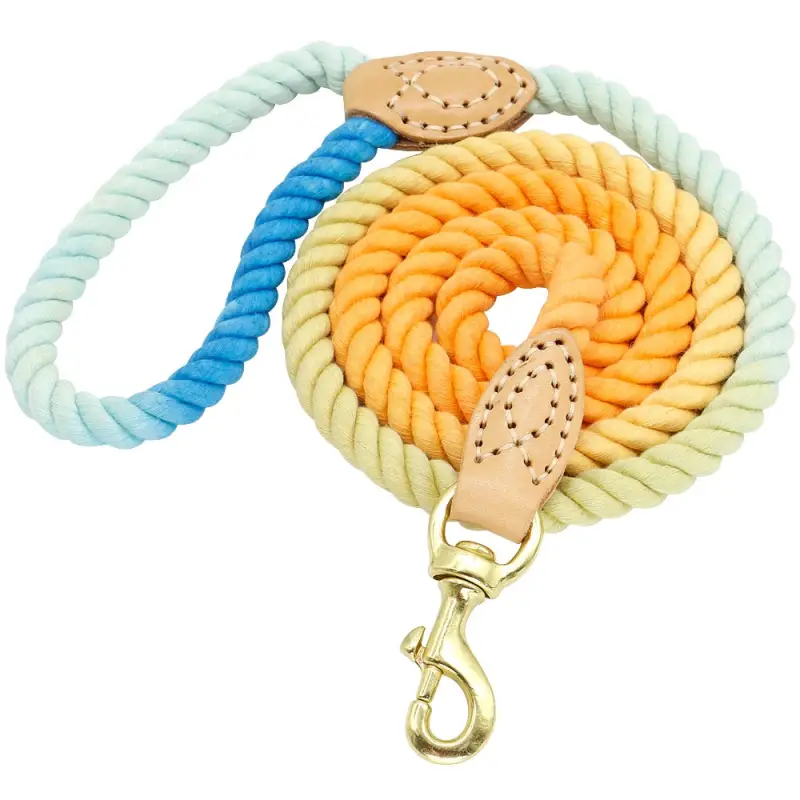 Laisse Corde Chien Solide Nylon Résistante