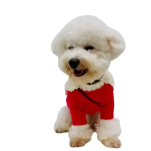 Pull de Noël Chien - Tricot Chaud Enveloppant