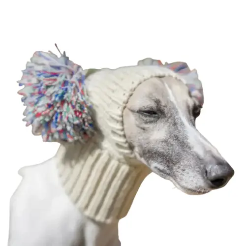 Bonnet en Laine pour Chien - Chaud pour l'Hiver