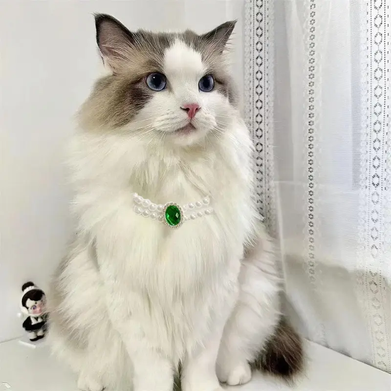 Collier Chat de Luxe - Perles et Gemmes