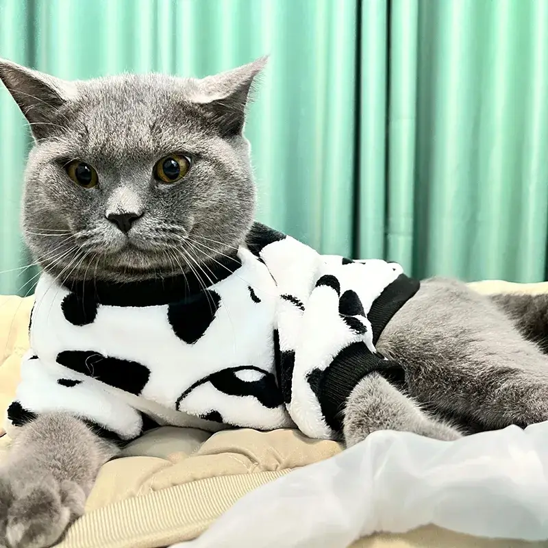 Sweat Chat Coton - Chaud et Confortable