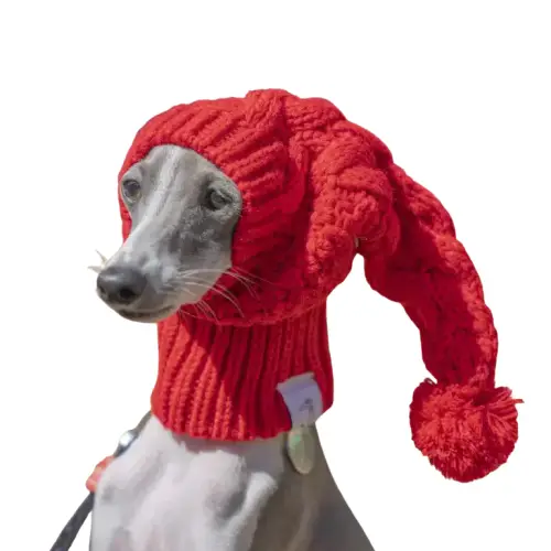 Bonnet Chien Hiver - Protège les Oreilles du Froid