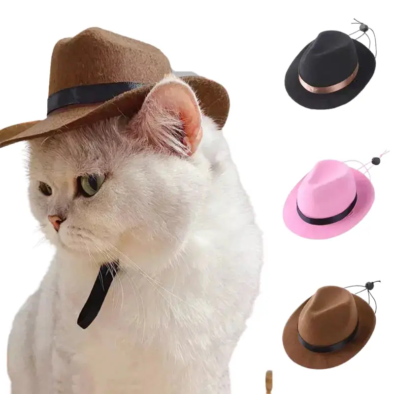 Chapeau Cowboy Chien - Déguisement Photo sans Stress