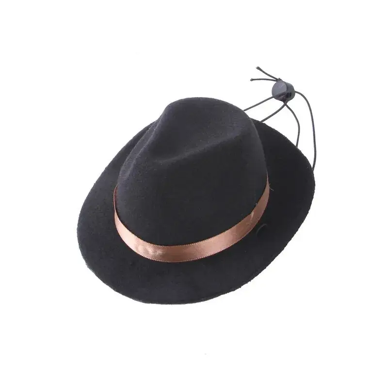 Chapeau Cowboy Chien - Déguisement Photo sans Stress