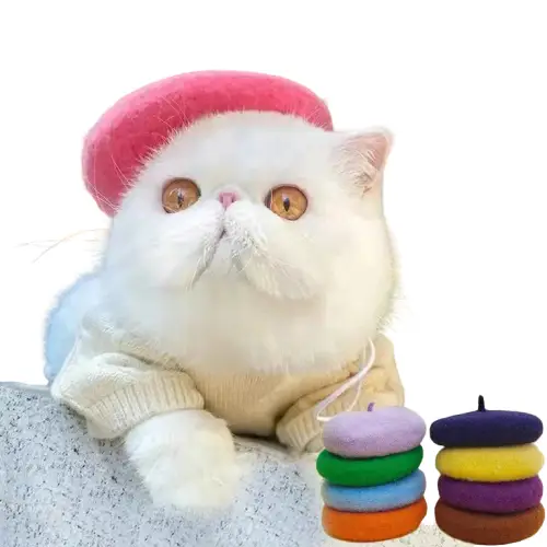 Béret pour Chat en Laine - Doux et Ajusté