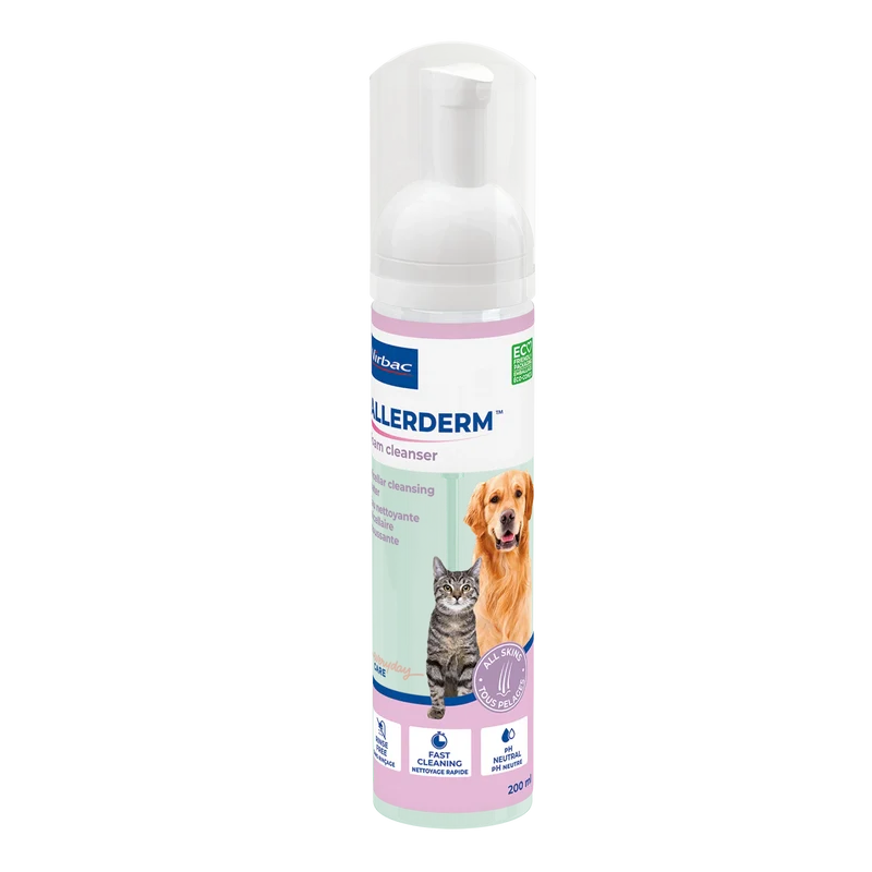Allerderm Foam chat, chien