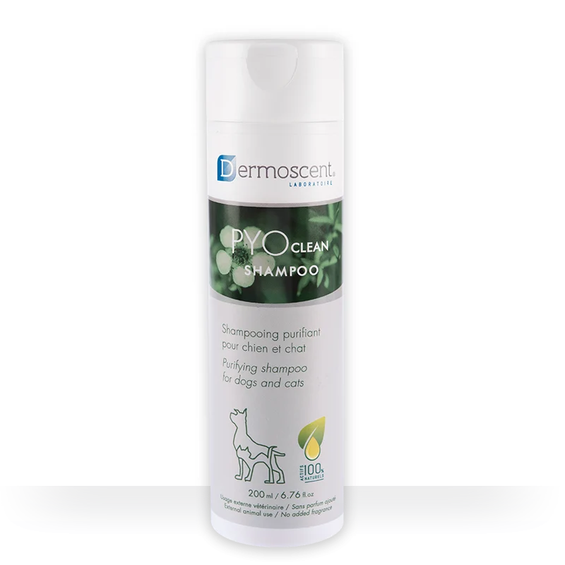 Dermoscent PYOclean Shampoing purifiant chien, chat