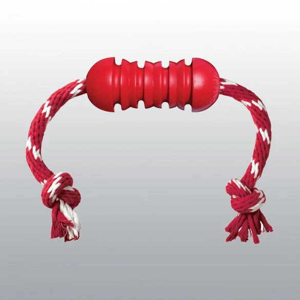 Jouet Dental Kong chien
