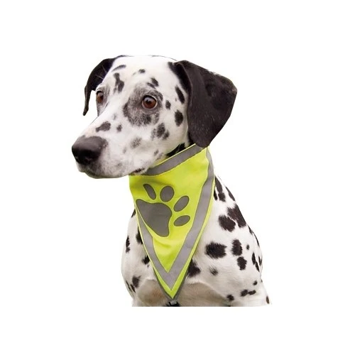Bandana réfléchissant chien