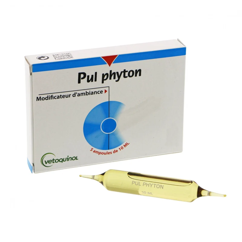 Pul Phyton chat, chien
