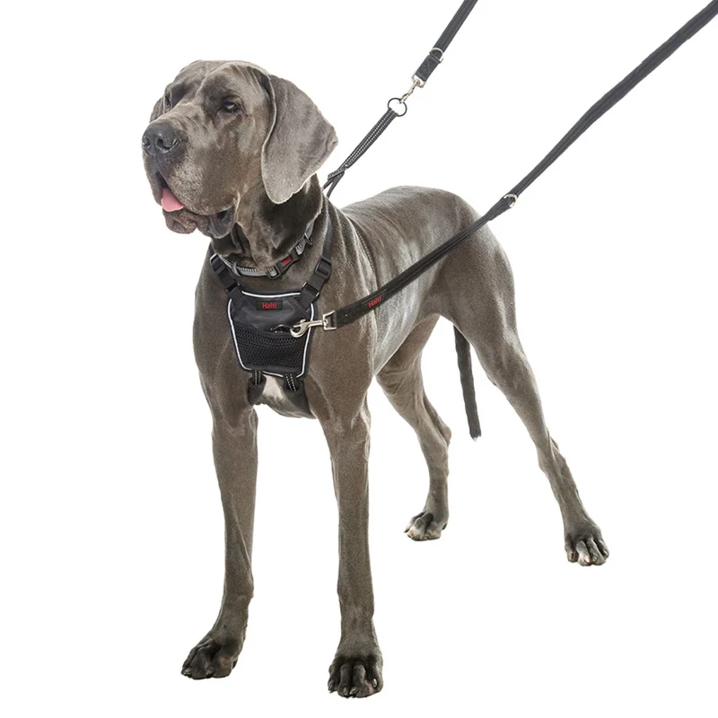 Harnais Non-Pull Halti chien