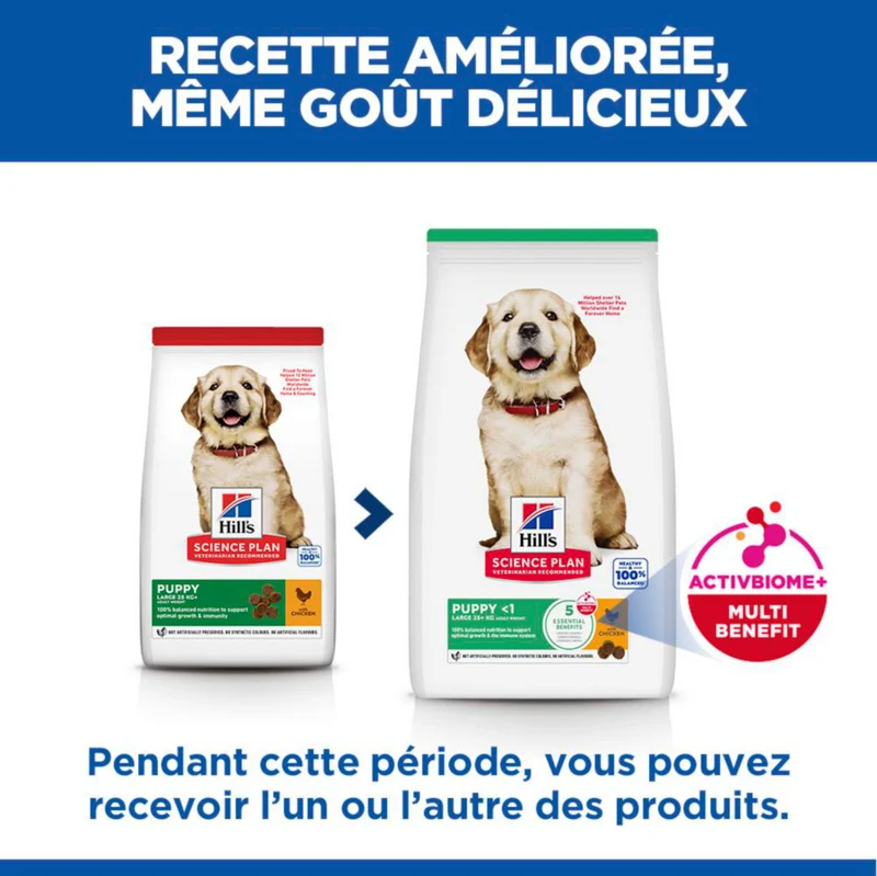 Hill's Science Plan Large Puppy au poulet - croquettes chiot