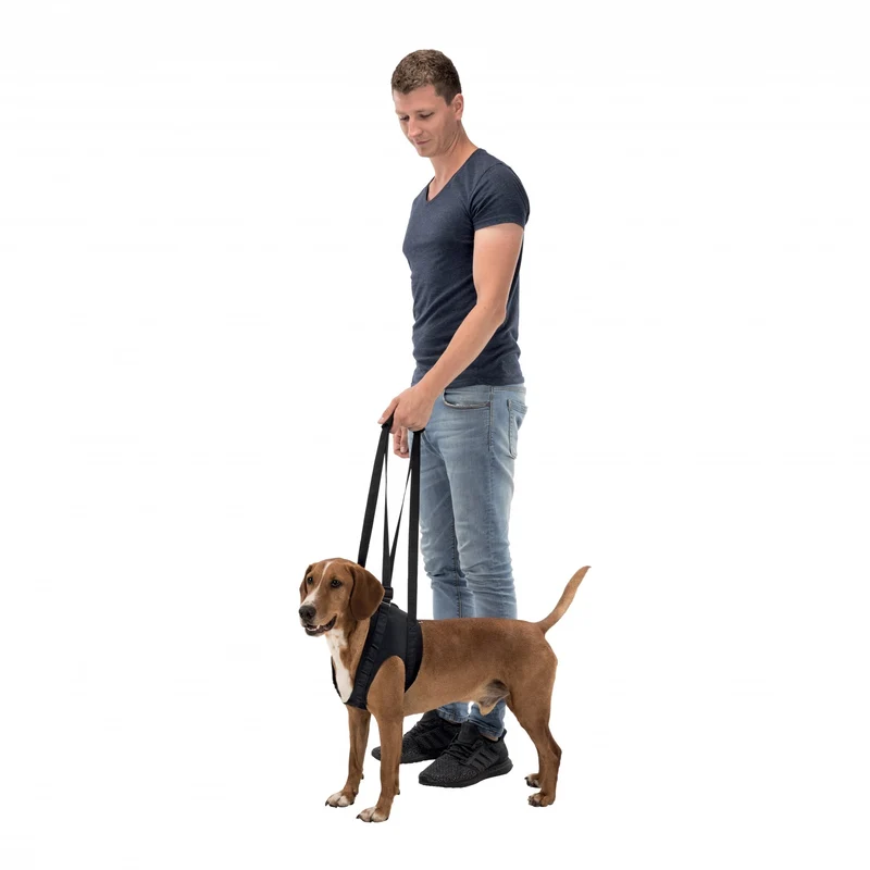 Harnais d'aide à la marche chien