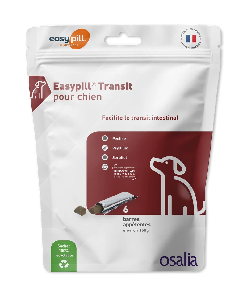Easypill Transit chien
