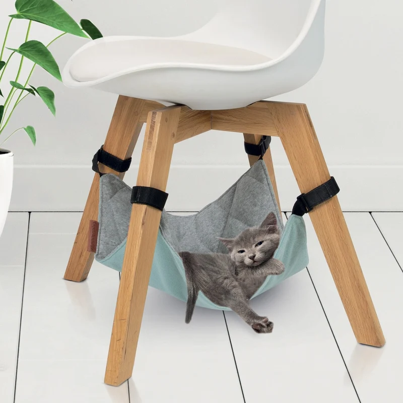 Hamac Loungy chat