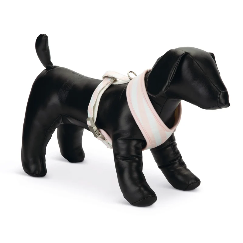 Harnais Filana chien, chiot
