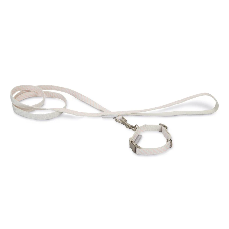 Collier et laisse Welcome chien, chiot