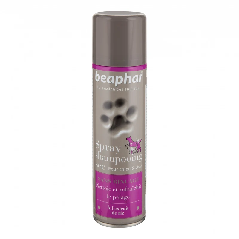 Spray shampooing sec chien, chat