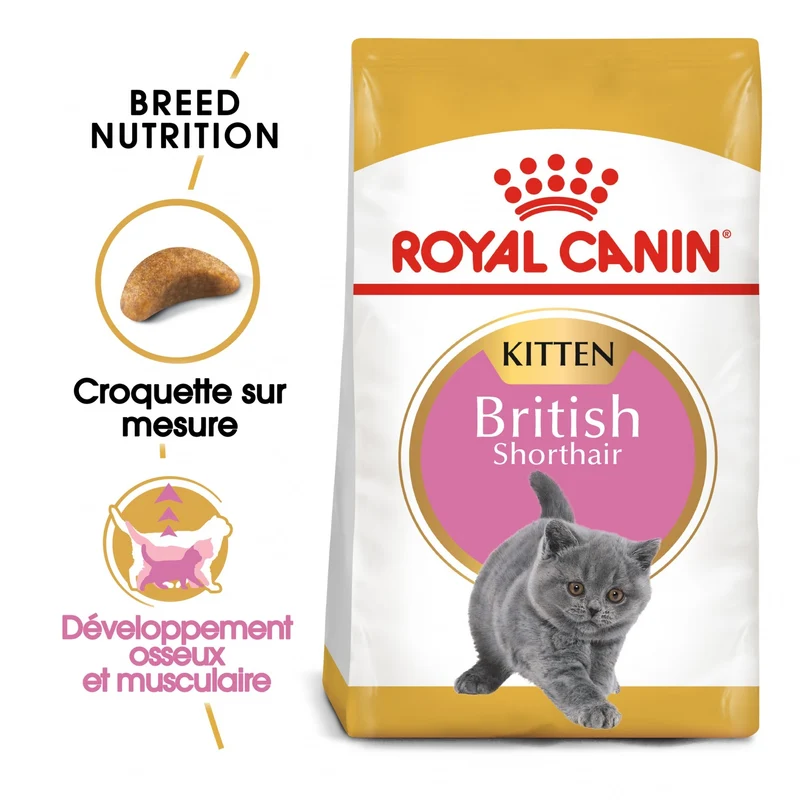 Royal Canin British Shorthair Kitten - croquettes chaton