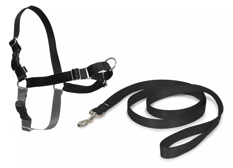 Harnais Easy Walk™ chien