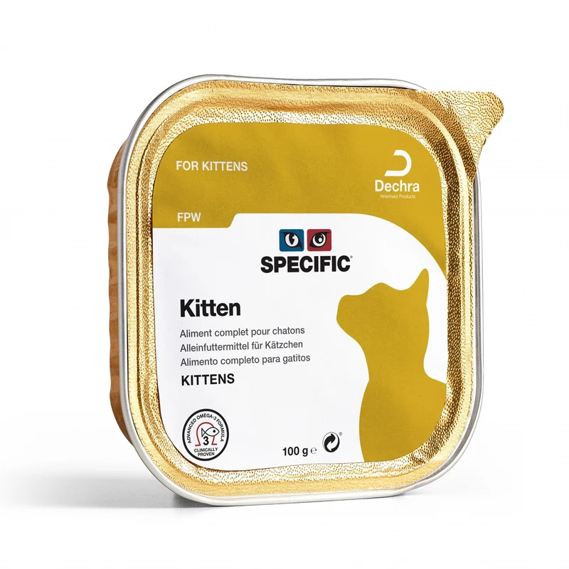 Specific Kitten / FPW chaton