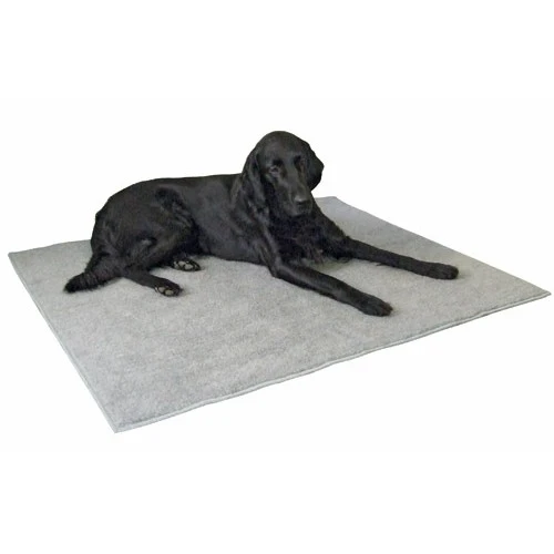 Tapis antidérapant chien