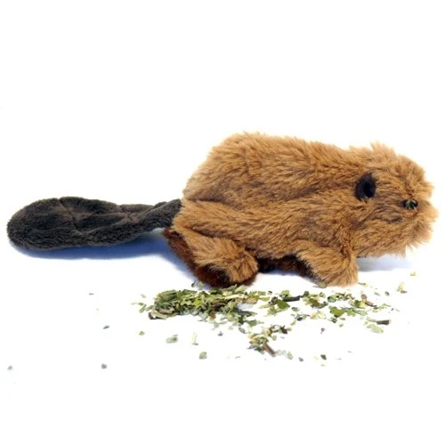 Jouet Beaver Kong chat