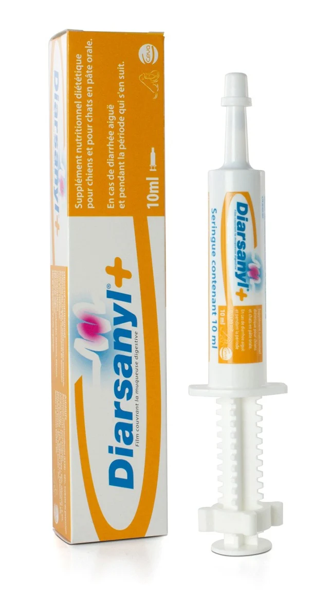 Diarsanyl chat, chien