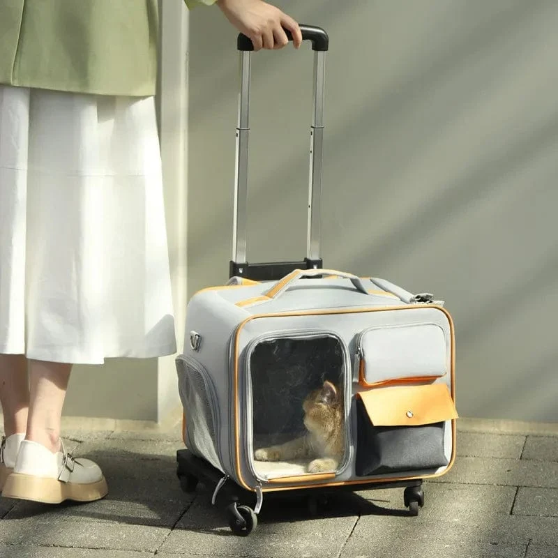 Sac Chat Hublot
