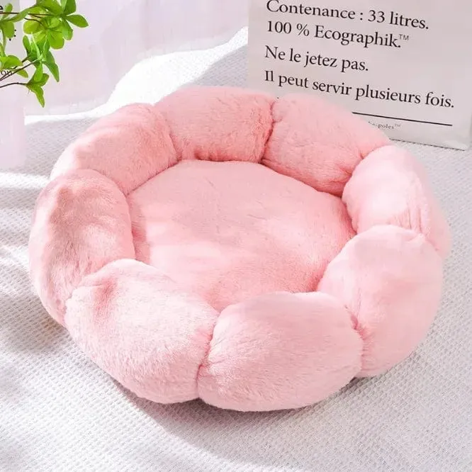 Coussin pour Chat
