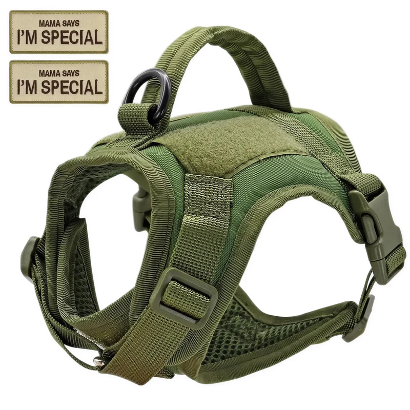 Harnais Chat Militaire