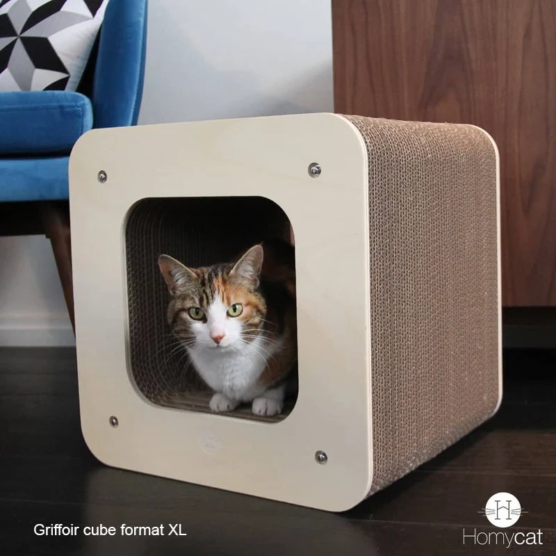 Lettres Griffoir et Formes XL pour chat au choix