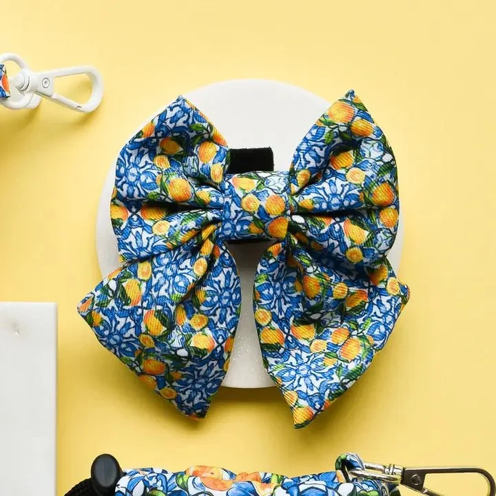 Nœud papillon pour chien Amalfi Lemon CocoPup London