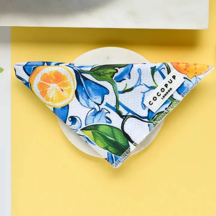 Bandana pour chien Amalfi Lemon CocoPup London