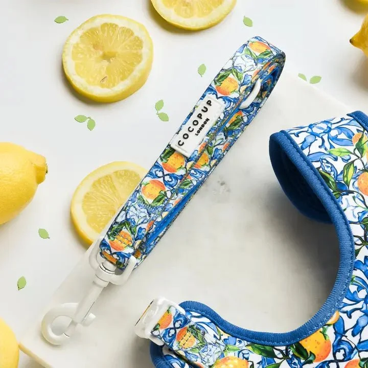 Laisse pour chien Amalfi Lemon CocoPup London