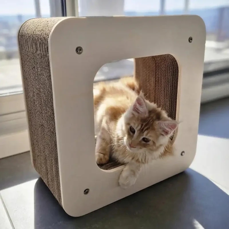 Griffoir Cube