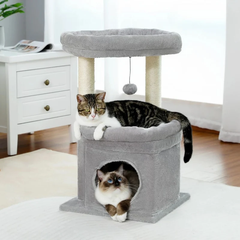 Arbre à Chat Compact 60cm | FelinConfort™