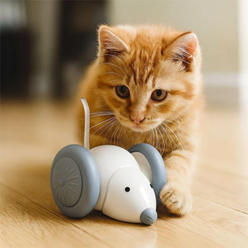 Jouet chat interactif | FeliMouse™