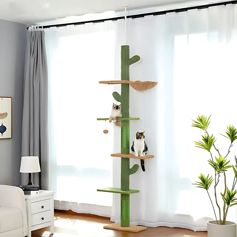 Arbre à chat | CactusOasis™