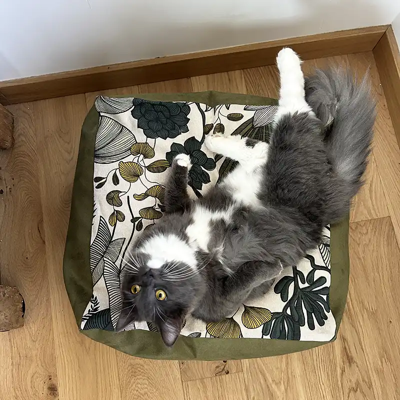 Cubes XL et S - Couchage chat stylé - Kaki Feuillage Tropical